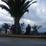 Giga ananas